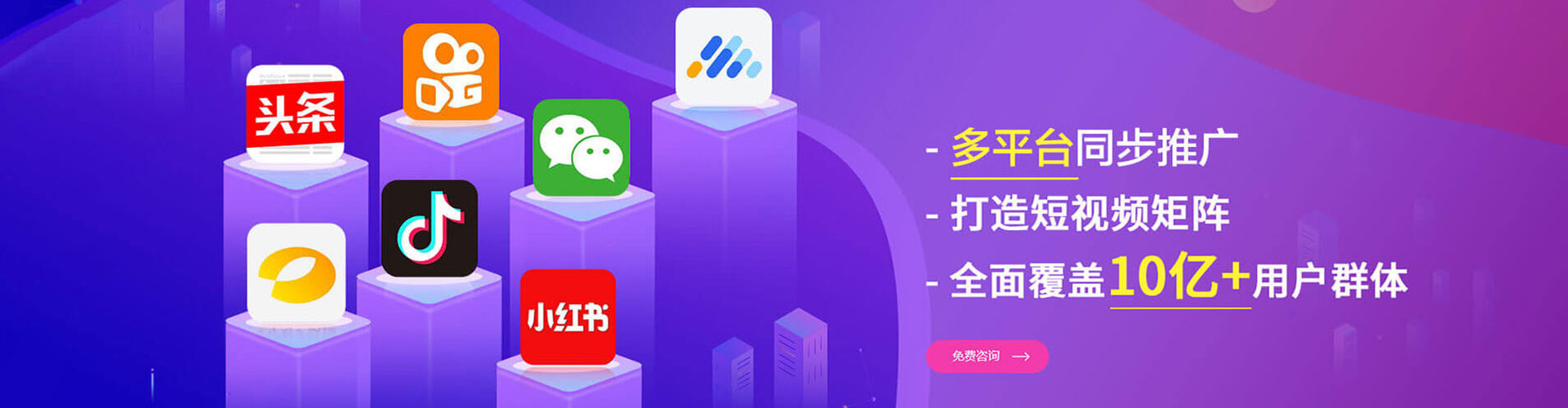 大树sem代理